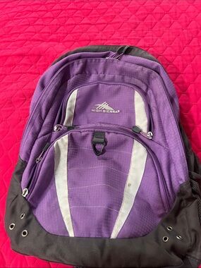 High Sierra Purple and Gray Everyday Backpack